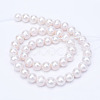 Natural Cultured Freshwater Pearl Beads Strands PEAR-R063-17-2