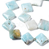 Natural Amazonite Beads Strands G-N0326-73A-01-3