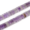 Natural Amethyst Beads Strands G-Z045-A13-01-1