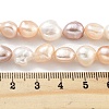 Natural Cultured Freshwater Pearl Beads Strands PEAR-P062-26F-5