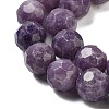 Natural Lepodolite Beads Strands G-C150-B03-02-3