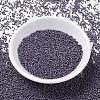 MIYUKI Delica Beads SEED-X0054-DB1174-2