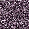 Baking Paint Glass Seed Beads X-SEED-S042-15A-14-3