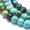 Natural Turquoise Beads Strands G-K305-01-B-3