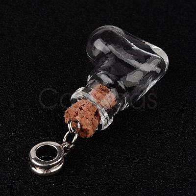 Mixed Shapes Glass Wishing Bottle European Dangle Charms PALLOY-JF00162-1