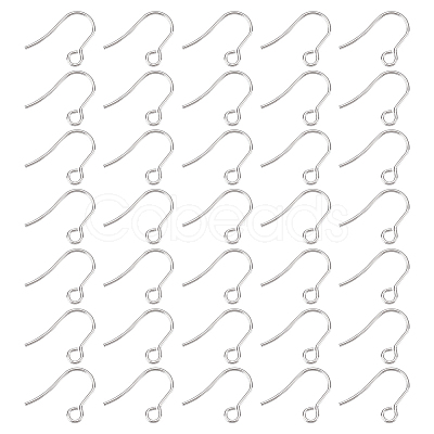 Unicraftale 300Pcs 316 Surgical Stainless Steel Earring Hooks STAS-UN0044-31-1