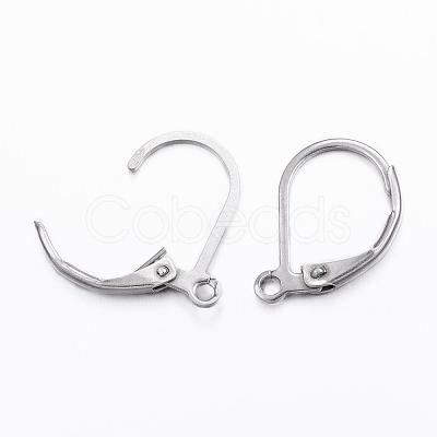 Tarnish Resistant 304 Stainless Steel Leverback Earring Findings STAS-F075-37P-A-1