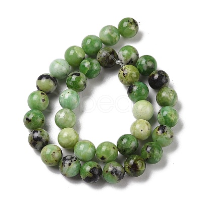 Natural Serpentine Bead Strands G-N166-26-1