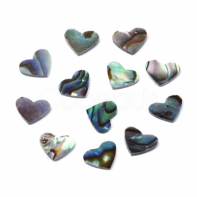 Natural Abalone Shell/Paua Shell Cabochons SSHEL-N034-117-1