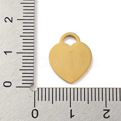 Ion Plating(IP) 304 Stainless Steel Pendants FIND-M017-01G-R-1