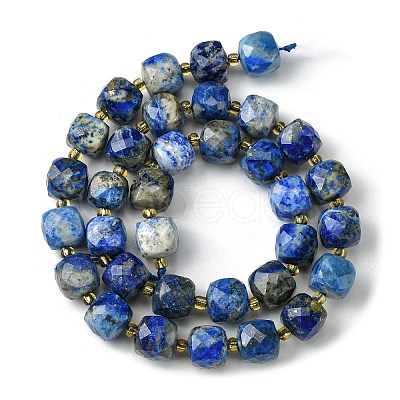 Natural Lapis Lazuli Beads Strands G-Q010-A03-01-1