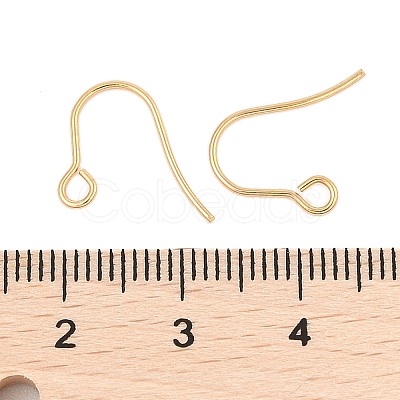 316 Surgical Stainless Steel Earring Hooks STAS-A056-11G-B-1