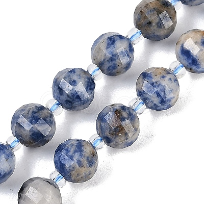 Natural Blue Spot Jasper Beads Strands G-G182-B31-03-1