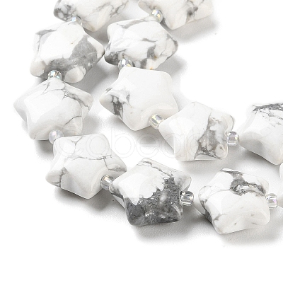 Natural Howlite Beads Strands G-NH0005-006-1