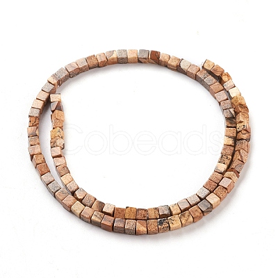 Natural Picture Jasper Beads Strands G-F631-K02-1