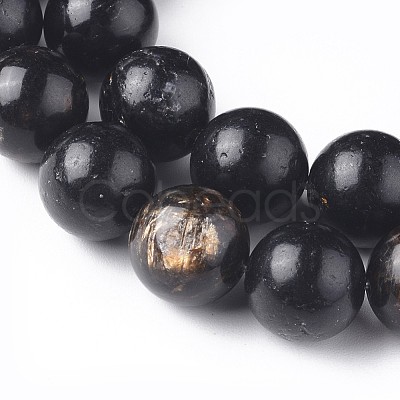 Natural Biotite Beads Strands G-L528-06A-1