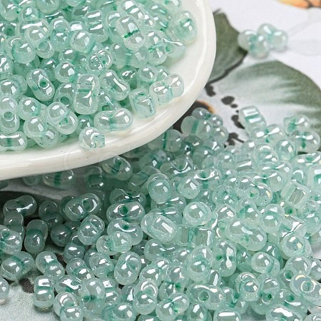 Ceylon Glass Seed Beads SEED-K009-02B-26-1