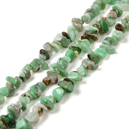 Natural Chrysoprase Beads Strands G-G0004-D01-A-1