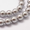 Shell Pearl Beads Strands X-BSHE-L026-05-8mm-4