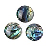 Natural Paua Shell Cabochons SSHEL-I026-20C-1