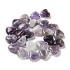 Natural Amethyst Beads Strands G-E614-A22-01-2