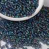 MIYUKI Round Rocailles Beads SEED-JP0009-RR0249-4