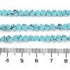 Synthetic Turquoise Beads Strands G-M403-A29-01-5