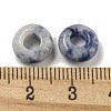 Natural Blue Spot Jasper Beads G-Q173-03A-14-3