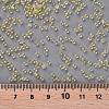 11/0 Grade A Transparent Glass Seed Beads X-SEED-N001-E-302-3