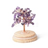 Natural Amethyst Chips Money Tree in Dome Glass Bell Jars with Wood Base Display Decorations DJEW-B007-04G-2