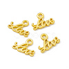 Rack Plating Alloy Charms FIND-G045-17MG-3
