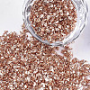 Plated Glass Seed Beads MRMJ-S034-04I-1