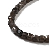 Natural Silver Sheen Obsidian Beads Strands G-D467-A01-3