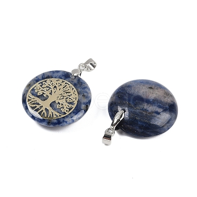 Natural Blue Spot Jasper Flat Round Pendants G-Q188-01P-12-1