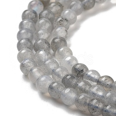 Natural Labradorite Beads Strands G-G140-D02-02-1