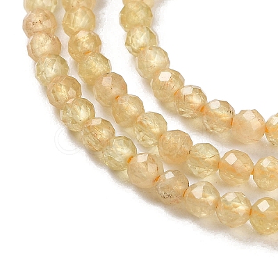 Natural Yellow Apatite Beads Strands G-N342-20B-01-1