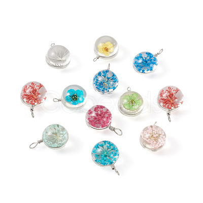 Craftdady 30pcs 15 colors Transparent Glass Pendants GLAA-CD0001-07-1