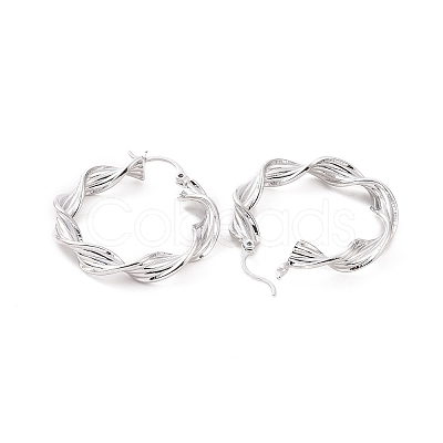 Brass Twist Rope Shape Hoop Earrings for Women EJEW-F303-08P-1