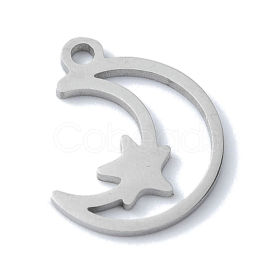 Non-Tarnish 304 Stainless Steel Charms STAS-C097-23P-1