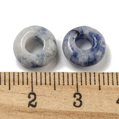 Natural Blue Spot Jasper Beads G-Q173-03A-14-1