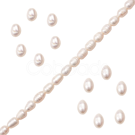 Natural Cultured Freshwater Pearl Beads Strands PEAR-SZ0001-07-1