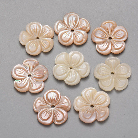 Natural Pink Shell Beads SSHEL-R044-02-1