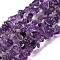 Natural Amethyst Beads Strands, Chip, 4~16x3~4x3~6mm, Hole: 0.6mm, 30.71''(78cm)