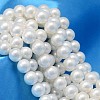 AB Color Plated Shell Pearl Bead Strands BSHE-L011-8mm-C003-1