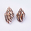 Shell Beads BSHE-P026-36-2