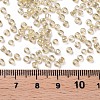 Glass Seed Beads X1-SEED-A006-3mm-102-3