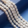 Grade A Natural Cultured Freshwater Pearl Strands A23WM011-01-2