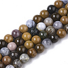 Natural Ocean Jasper Beads Strands G-S150-56-6mm-1