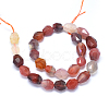 Natural Carnelian Agate Beads Strands G-O173-093-2