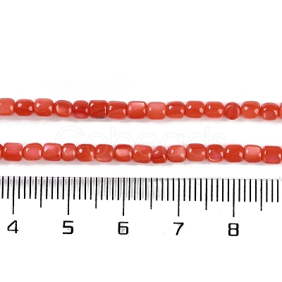 Natural Freshwater Shell Beads Strands BSHE-H109-04-1